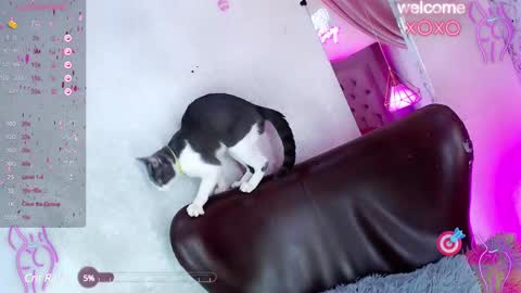 Snapshot of alexandra_evanz chatting on 01-27-25, 01:09 Alexandra Spellman online show from 01-27-25, 01:09