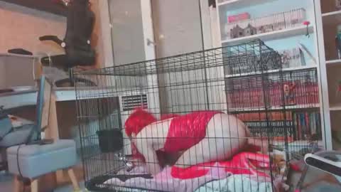 alexas_owned_bitch online show from 05-30-26, 10:29