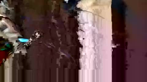 alexey932 online show from 11-10-25, 10:03