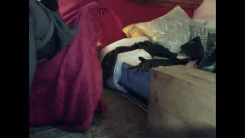 Snapshot of alexischat chatting on 09-25-25, 04:16 alexischat online show from 09-25-25, 04:16