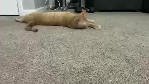 alexispaige06 online show from 10-11-25, 07:01