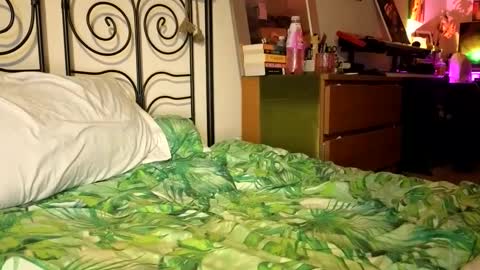 Alex online show from 12-22-24, 09:31