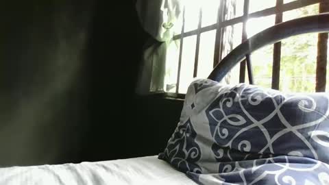 Alex online show from 12-29-24, 05:01