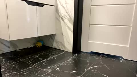 Alex online show from 04-28-26, 04:34