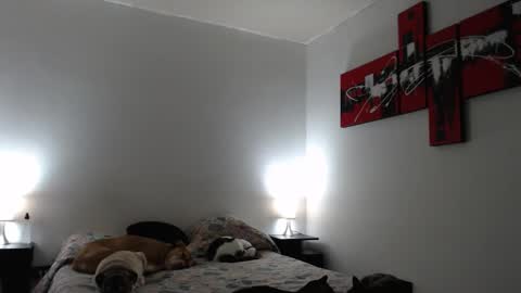 Snapshot of alguien_mas01 chatting on 03-12-25, 07:24 cami online show from 03-12-25, 07:24