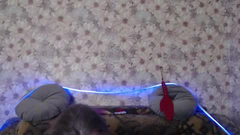 alice longstocking online show from 12-22-25, 10:51