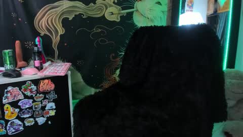 Alice Danger     online show from 03-06-26, 07:54