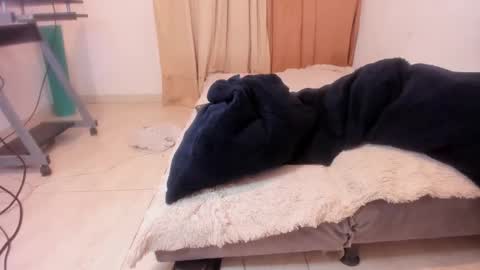 Alis 3 independent model 3 online show from 02-07-25, 11:24