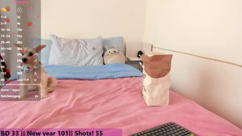 Snapshot of alien_universe chatting on 01-01-25, 08:15 Aiko  Independent Model  online show from 01-01-25, 08:15