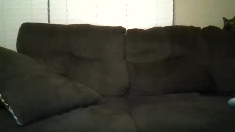 aliendick2274 online show from 02-24-26, 08:23