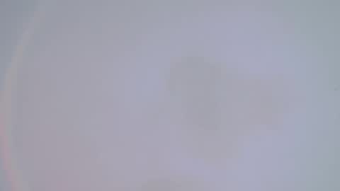     online show from 02-14-25, 01:34