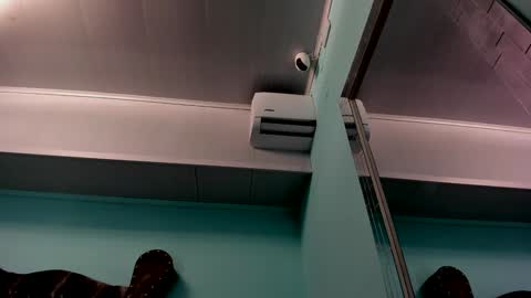 Alice online show from 12-31-24, 10:58