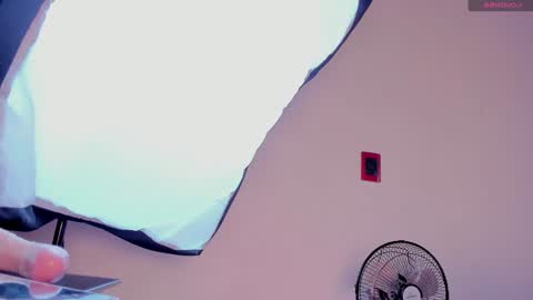 Alice online show from 12-20-24, 12:49