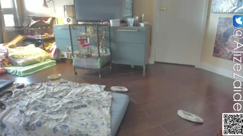 Alize Zaide online show from 01-10-25, 10:04