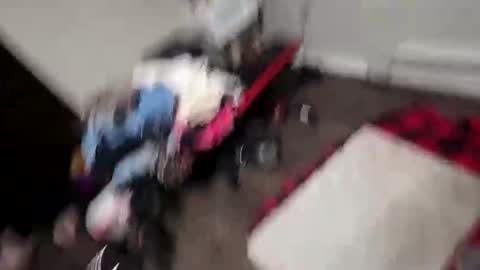 Snapshot of alldickandass11 chatting on 02-10-26, 11:31 alldickandass11 online show from 02-10-26, 11:31