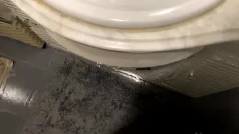 allforone7 online show from 01-07-25, 01:59