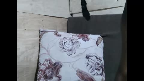 Allie online show from 02-10-26, 11:14