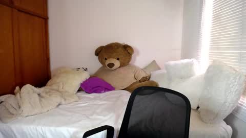 Snapshot of allierose_ chatting on 12-28-24, 09:40 Allie online show from 12-28-24, 09:40