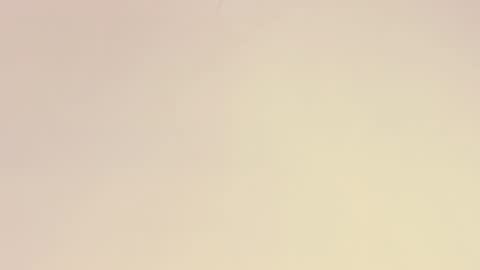    online show from 12-01-25, 10:53