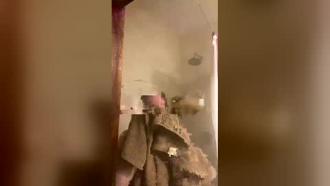 allisonlove2 online show from 04-09-26, 11:32