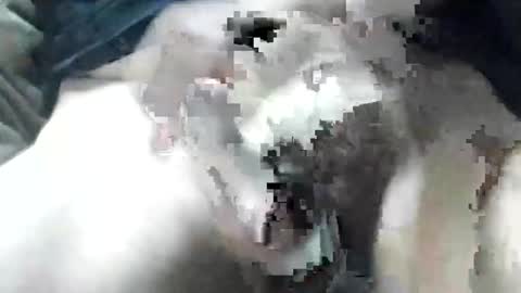 allways395 online show from 09-28-25, 03:34