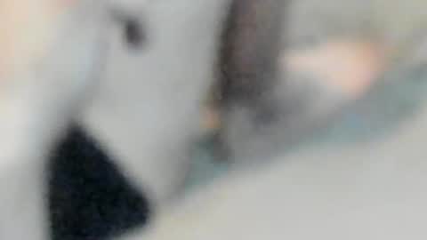 allways395 online show from 10-25-25, 05:04