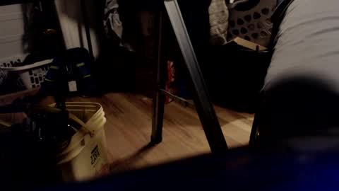 allwolf0323 online show from 03-21-26, 10:42