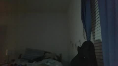 Snapshot of ally12334 chatting on 10-25-25, 02:30 ally12334 online show from 10-25-25, 02:30