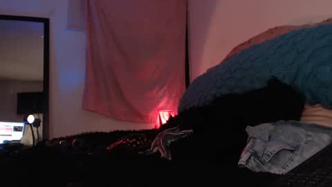 Snapshot of ally_donfort chatting on 02-16-25, 12:52 Ally online show from 02-16-25, 12:52