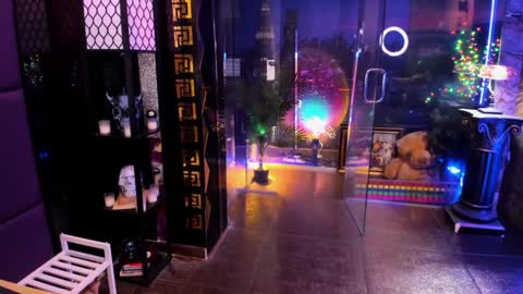 Alma online show from 02-28-26, 08:37