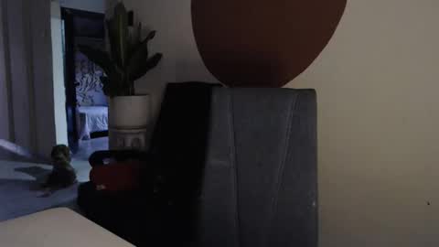 STEPHAN  online show from 12-17-25, 11:27