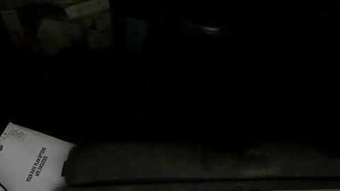 Snapshot of aloooopyscot chatting on 02-01-25, 11:58 Loooopy online show from 02-01-25, 11:58