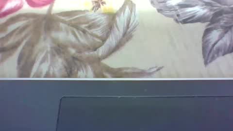 Snapshot of alydie7 chatting on 04-12-26, 04:50 alydie7 online show from 04-12-26, 04:50