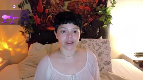         online show from 09-20-25, 11:33