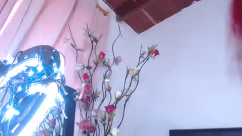   online show from 02-19-25, 05:38