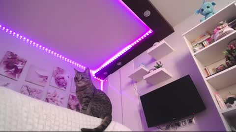 Snapshot of amazing_agness chatting on 02-23-25, 07:00 amazing_agness online show from 02-23-25, 07:00