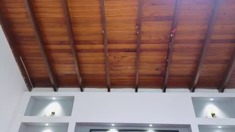 Ambar  online show from 03-30-26, 11:44