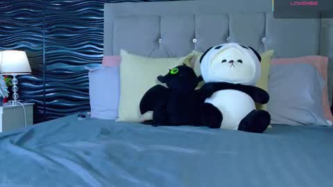 amber_bull online show from 11-27-25, 01:46