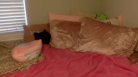 Snapshot of amberbunny1 chatting on 09-14-25, 03:22 Amber 3 online show from 09-14-25, 03:22