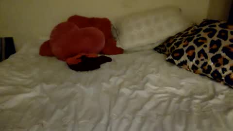 Amberloves2write aka AmberMyBelle online show from 02-08-25, 02:58