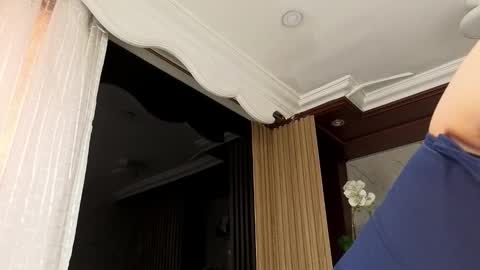   online show from 01-31-26, 07:11