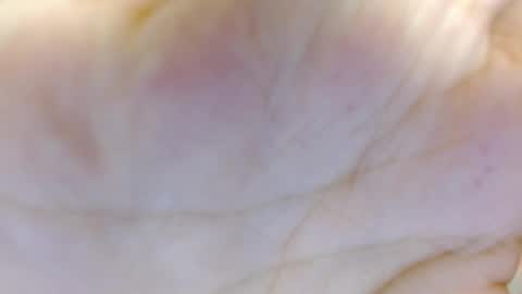 amelia_fry online show from 03-05-25, 04:24