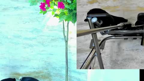  AMELIA.  online show from 03-15-26, 01:33