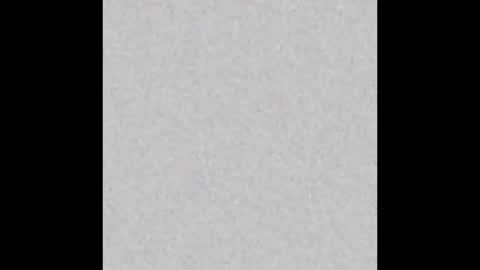 Amelia PVT model online show from 03-02-25, 04:42