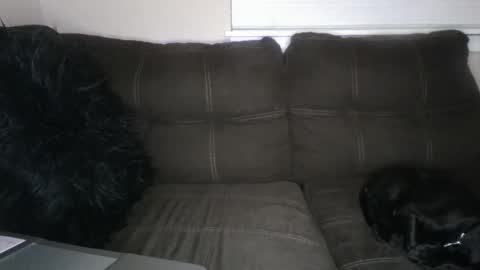 amiri_sweater online show from 03-02-25, 11:39