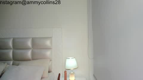 Snapshot of ammycollins28 chatting on 12-19-24, 03:29 online show from 12-19-24, 03:29