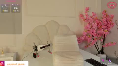 Amykord online show from 11-02-25, 11:34