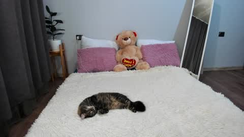 amymilson online show from 12-20-24, 03:21