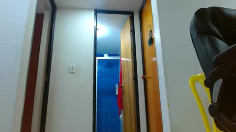 Snapshot of anaids_dam chatting on 11-27-25, 02:30 anaids online show from 11-27-25, 02:30