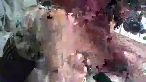 kinkylilanalslut online show from 01-23-25, 11:37